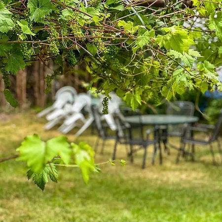 Am Riedlewald Διαμέρισμα Φριντρισχάφεν